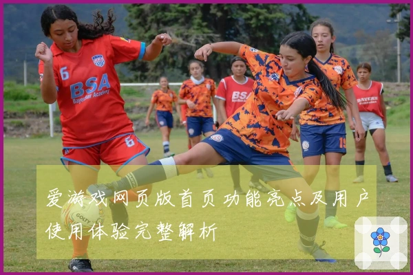 爱游戏网页版首页功能亮点及用户使用体验完整解析