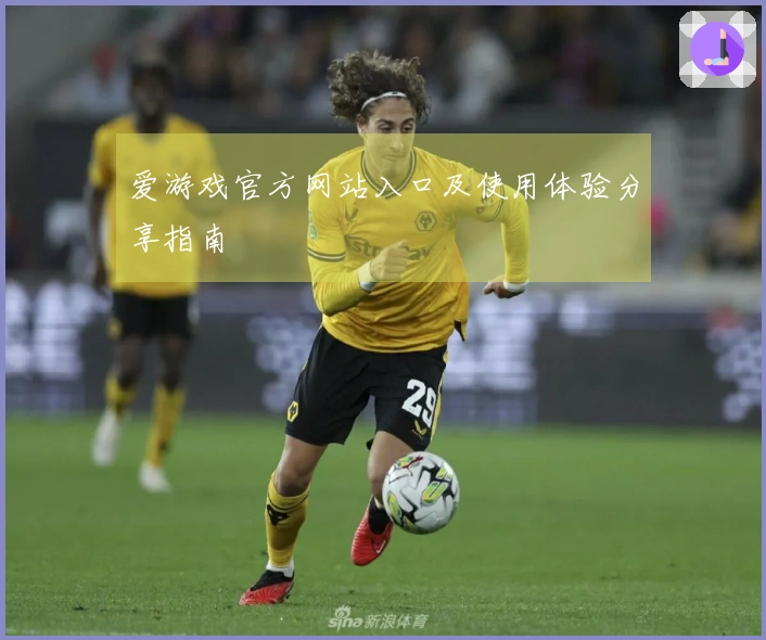 爱游戏官方网站入口及使用体验分享指南